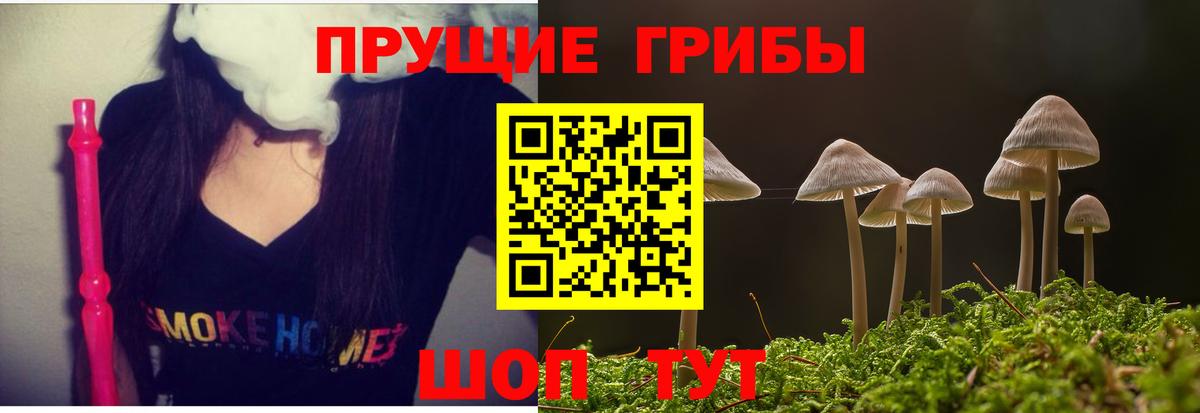 Псилоцибиновые грибы Magic Shrooms Лениногорск